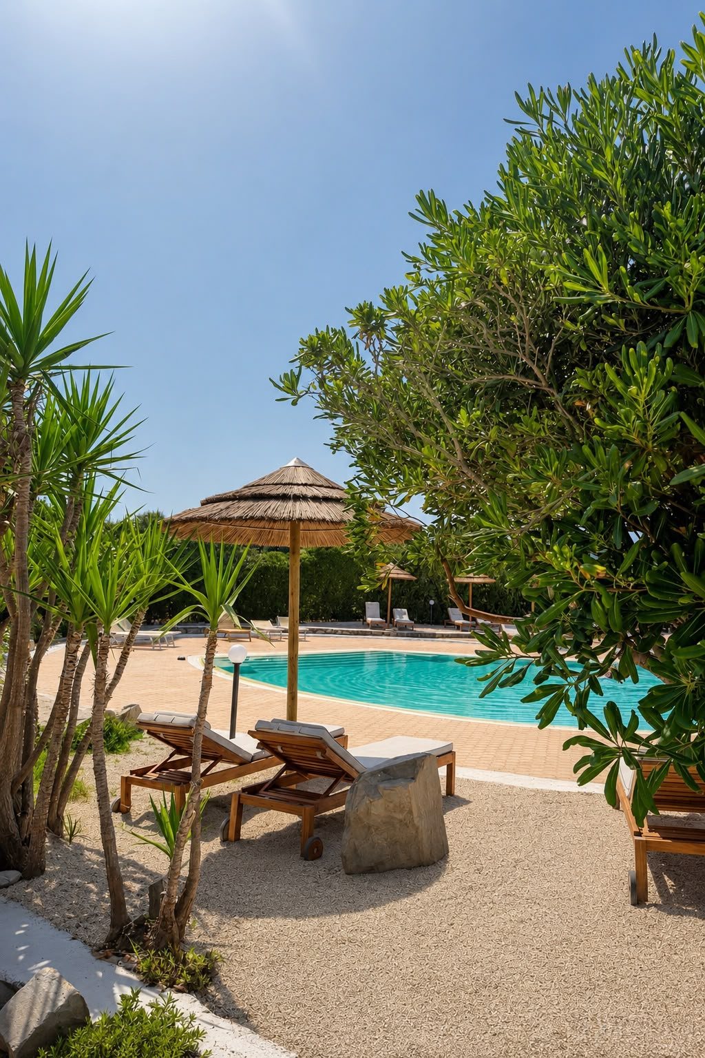 The palapa and the greenery around the pool